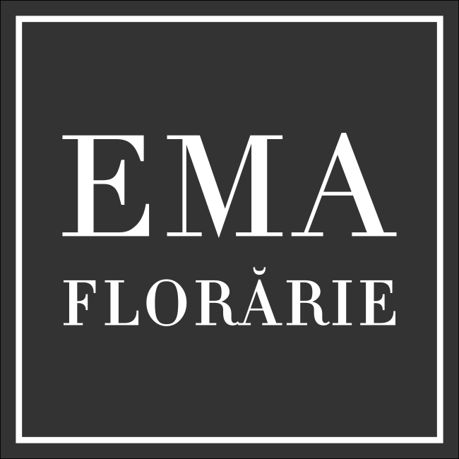EMA flower shop Focșani logo
