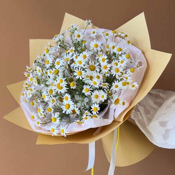 Daisy