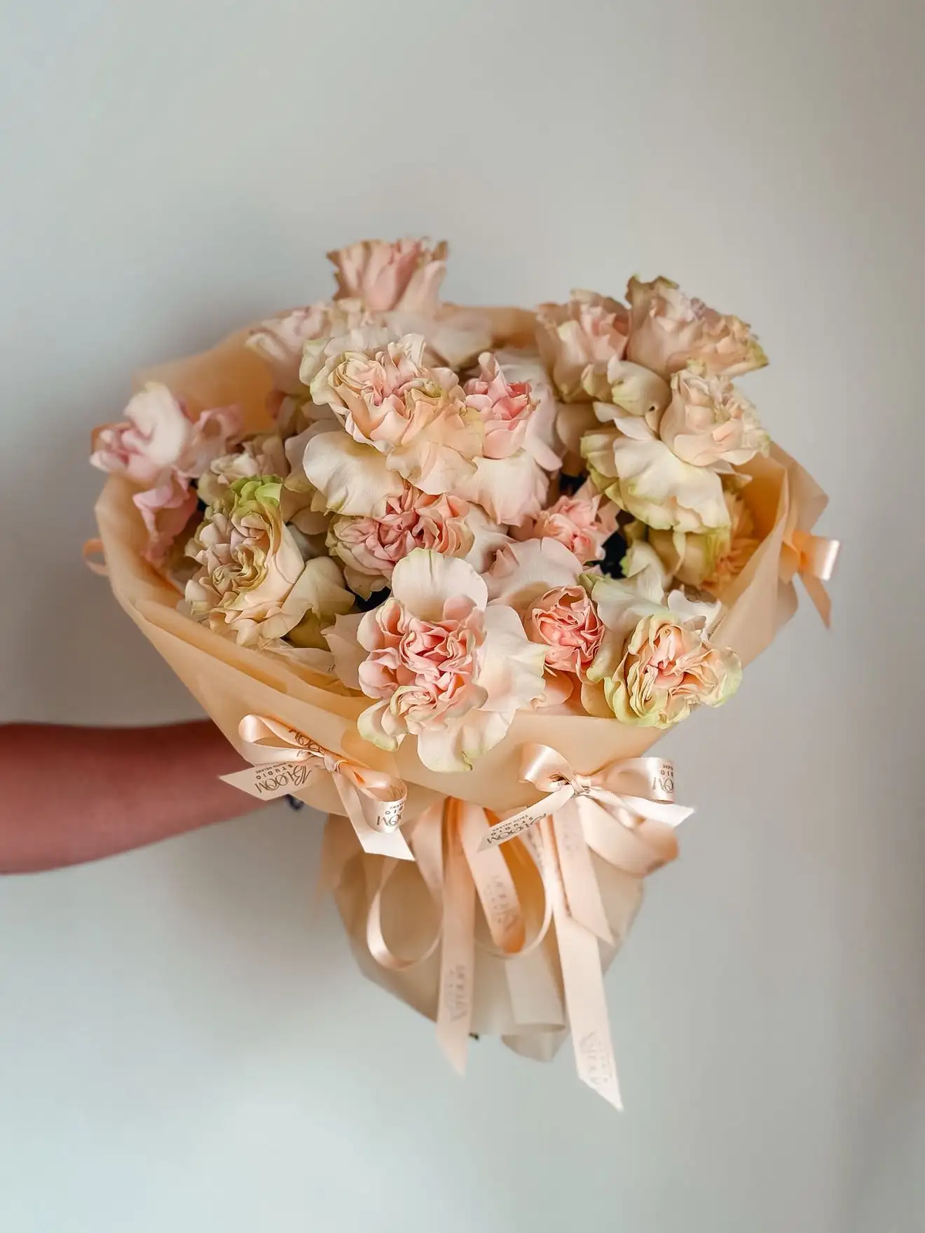 Modern Muse in Peach