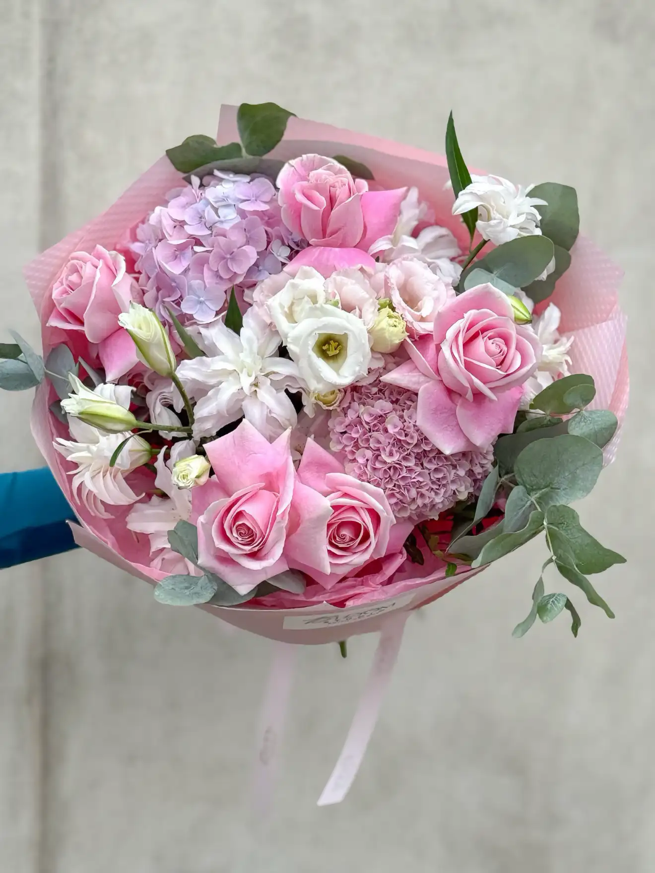 Rose Hydrangea Cloud