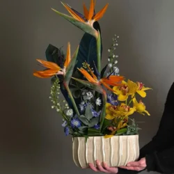 Aranjament Floral Corporate "Exotic Vision"