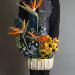 Aranjament Floral Corporate "Exotic Vision"