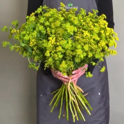Buchet de Flori "Magia de Sanziene"