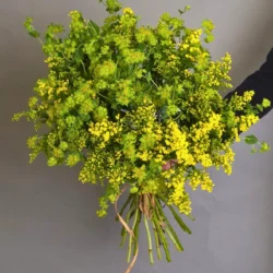 Buchet de Flori "Magia de Sanziene"