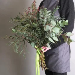 Buchet "Eucalyptus Breath"