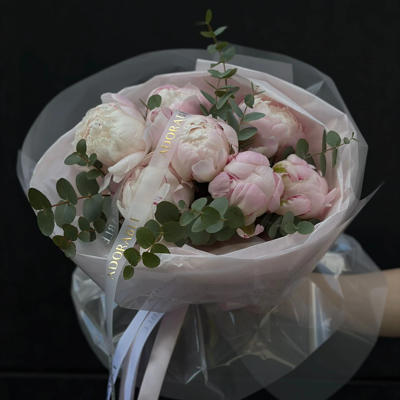 Silky dream peony